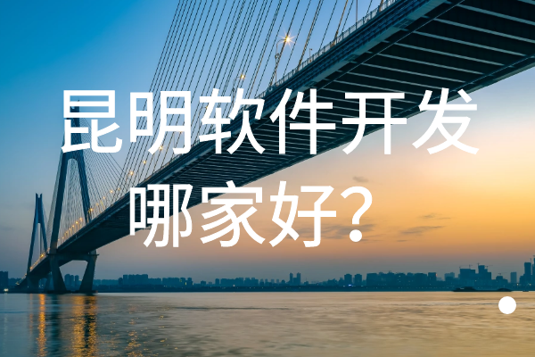 昆明軟件開發(fā)哪家好？