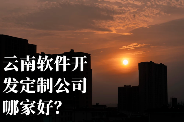 云南軟件開發(fā)定制公司哪家好？