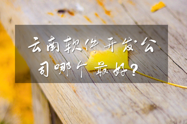 云南軟件開發(fā)公司哪個最好？