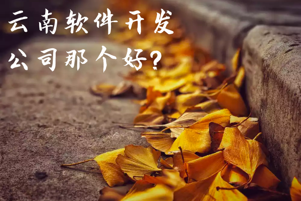 云南軟件開(kāi)發(fā)公司那個(gè)好？