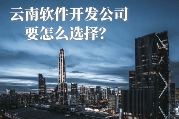 云南軟件開發(fā)公司要怎么選擇？