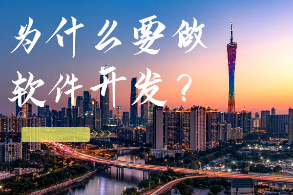 為什么要做軟件開發(fā)？